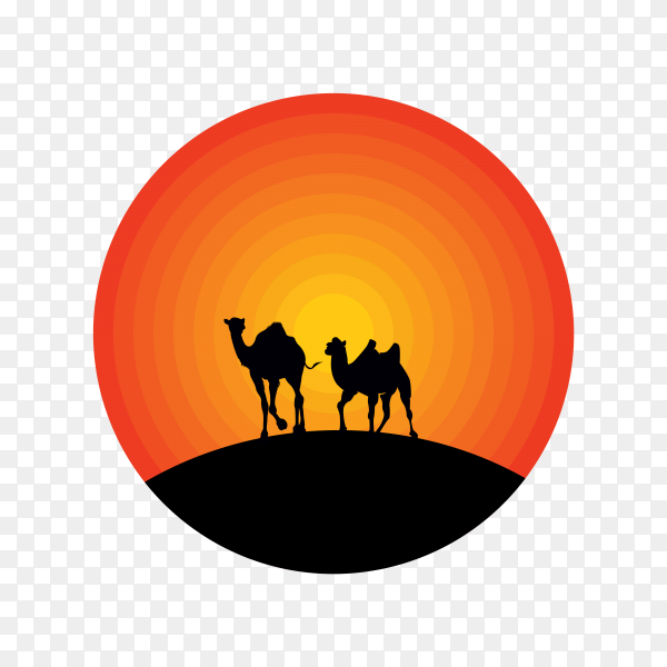 Spirit Desert Camp